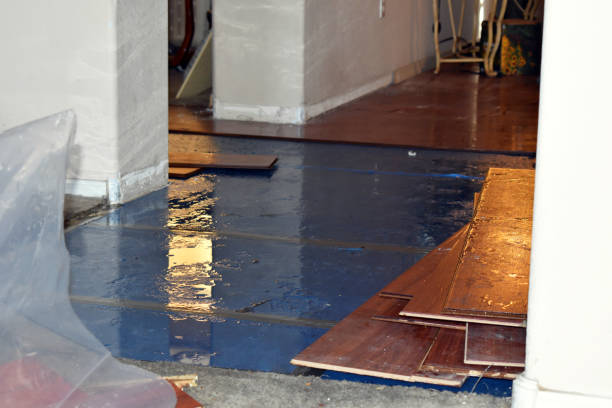 Professional Burst Pipe Cleanup technician working in East Wilton, ME